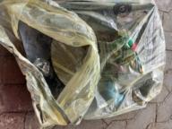 /images/about-meissa/03plastik-aktion/plastic-findings/2023_10_25_h.jpg