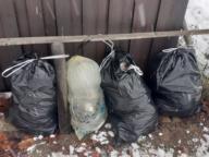 /images/about-meissa/03plastik-aktion/plastic-findings/2023_12_01_b.jpg