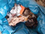 /images/about-meissa/03plastik-aktion/plastic-findings/2024_12_28.jpg