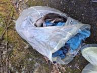 /images/about-meissa/03plastik-aktion/plastic-findings/2025_03_09.jpg
