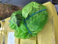 /images/about-meissa/03plastik-aktion/plastic-findings/2025_06_11.jpg