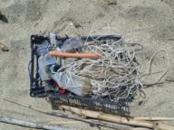 /images/about-meissa/03plastik-aktion/plastic-findings/2025_06_18.jpg