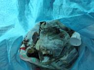 /images/about-meissa/03plastik-aktion/plastic-findings/2025_10_01_c.jpg
