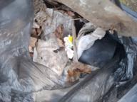 /images/about-meissa/03plastik-aktion/plastic-findings/2026_01_22.jpg