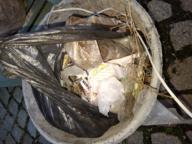/images/about-meissa/03plastik-aktion/plastic-findings/2026_04_03_a.jpg