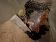 /images/about-meissa/03plastik-aktion/plastic-findings/2026_05_14.jpg