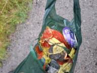 /images/about-meissa/03plastik-aktion/plastic-findings/2026_08_09_a.jpg